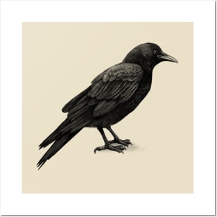 Crow Posters and Art